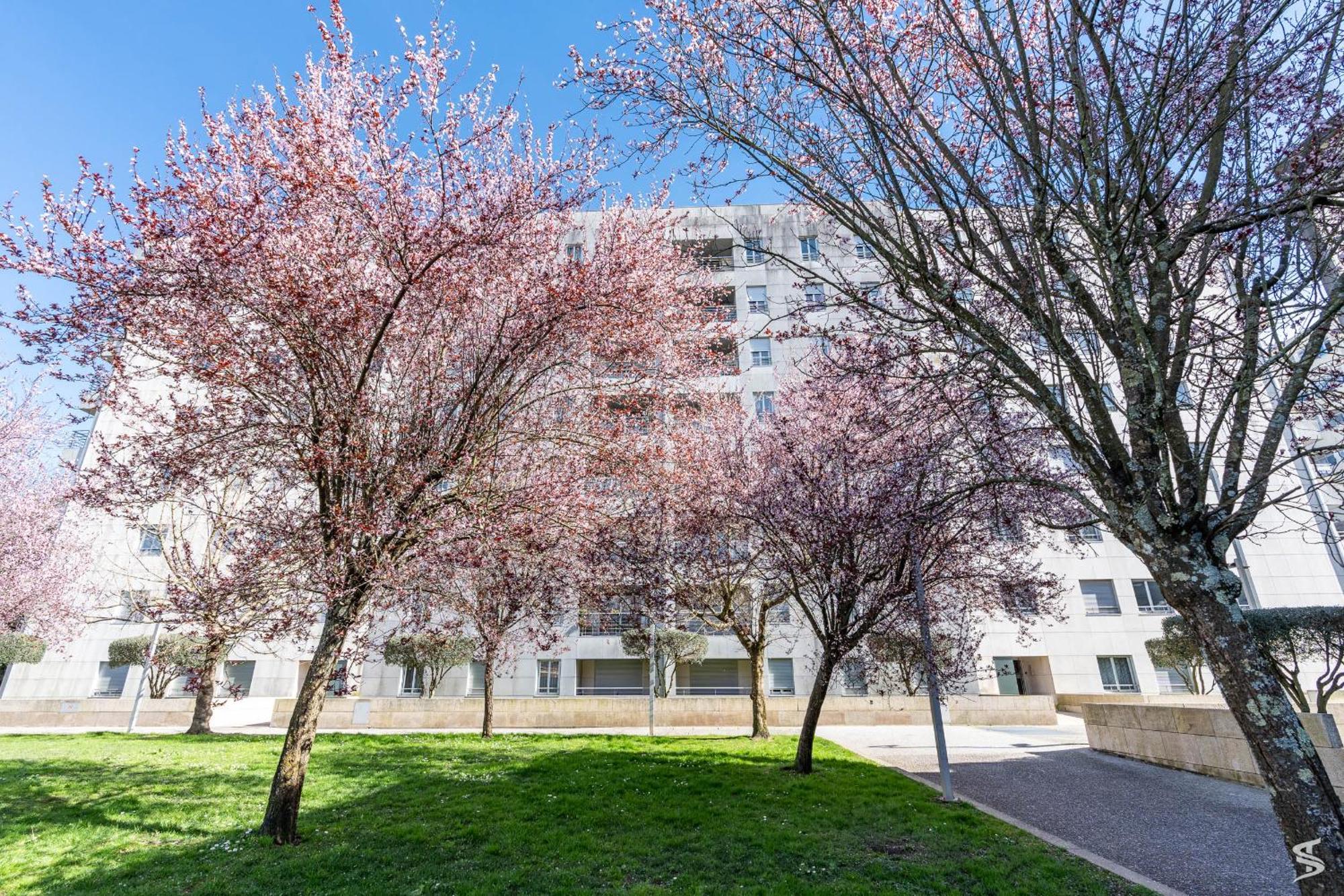 Cedofeita Sunny Apartment - Balcony & Parking Porto Bagian luar foto
